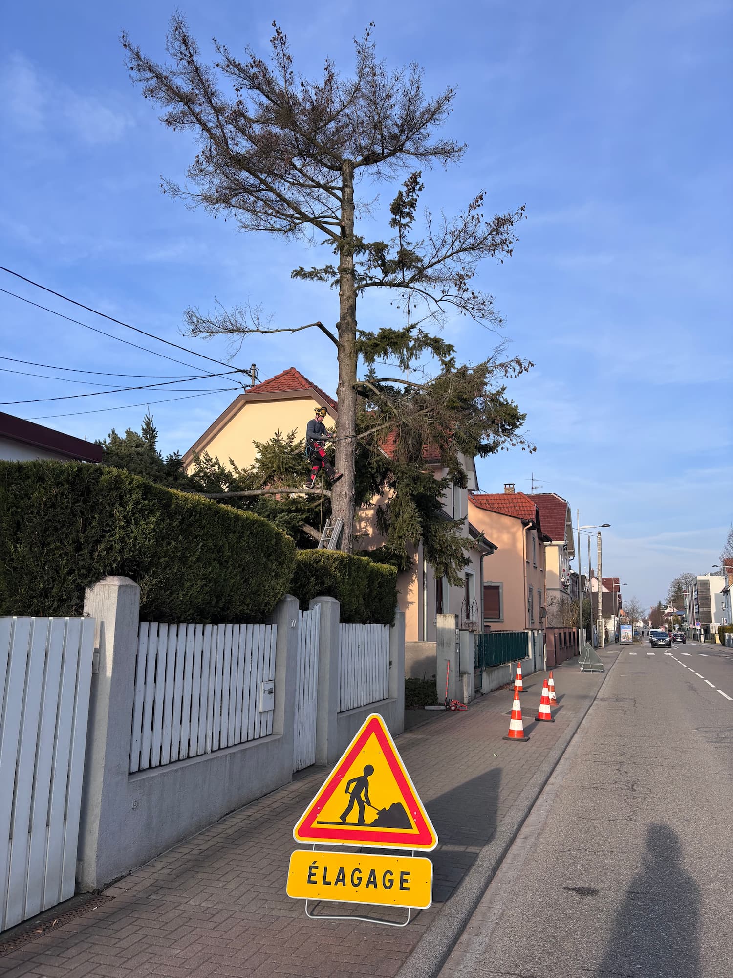 ELAGAGE_ABATTAGE_BUCHERONNAGE2 | Style et paysages Élagage, abattage et bûcheronnage professionnel sur les secteurs de Benfeld et Colmar Illkirch-Graffenstaden 1