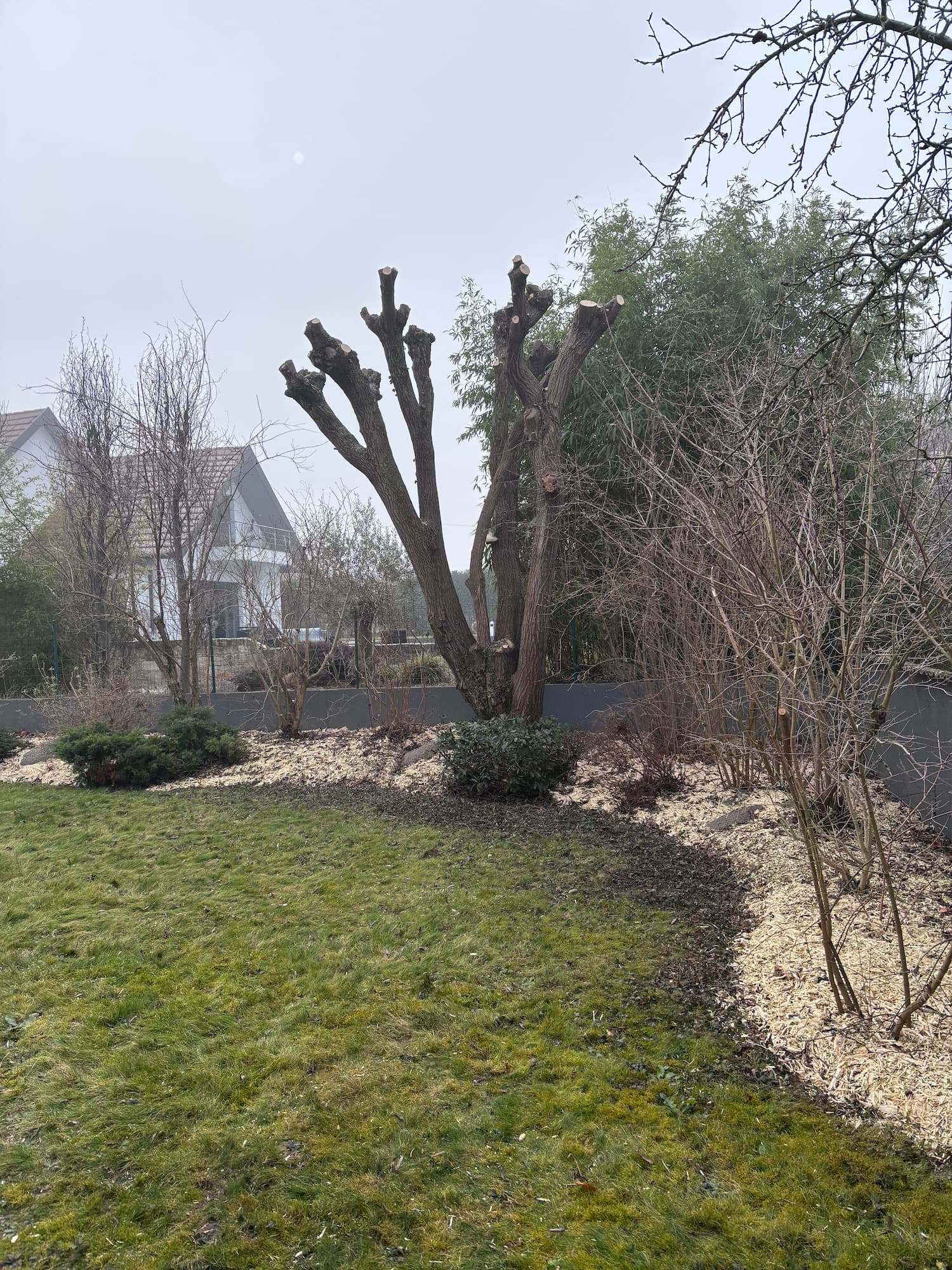 ELAGAGE_ABATTAGE_BUCHERONNAGE3 | Style et paysages Élagage, abattage et bûcheronnage professionnel sur les secteurs de Benfeld et Colmar Bischheim 2