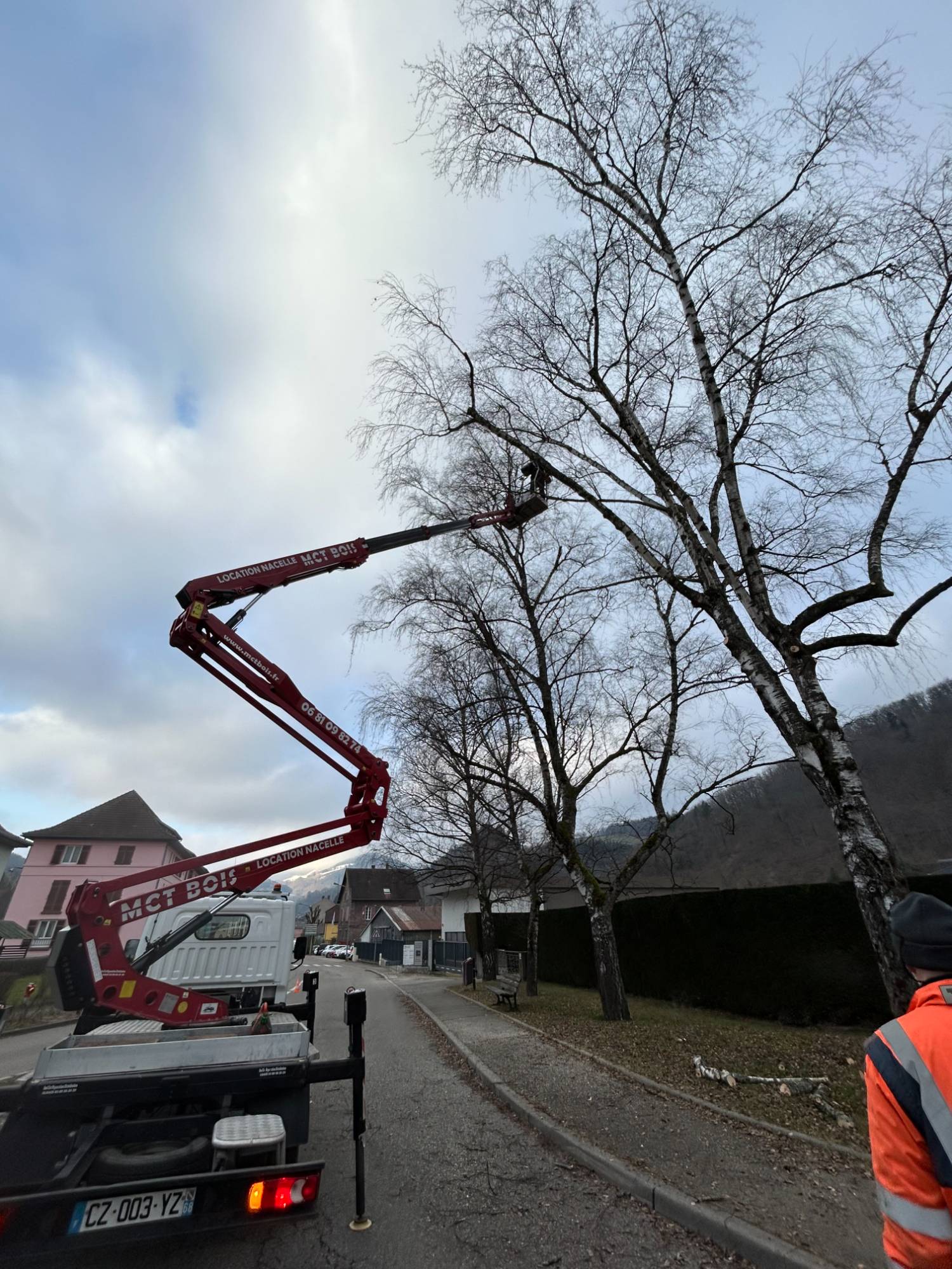 &Eacute;lagage, abattage et b&ucirc;cheronnage professionnel sur les secteurs de Benfeld et Colmar Lingolsheim